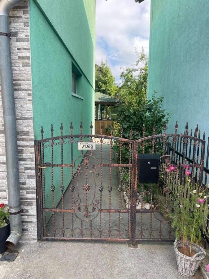 Apartment Rea Ilidza 2 SJJ Eksteriør billede